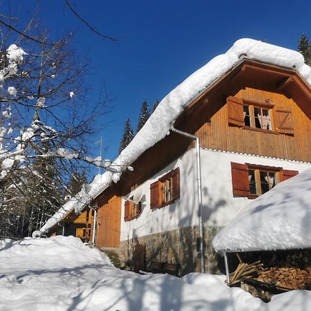 Pohorje House 2 Four Appartmetns Oplotnica Exterior foto