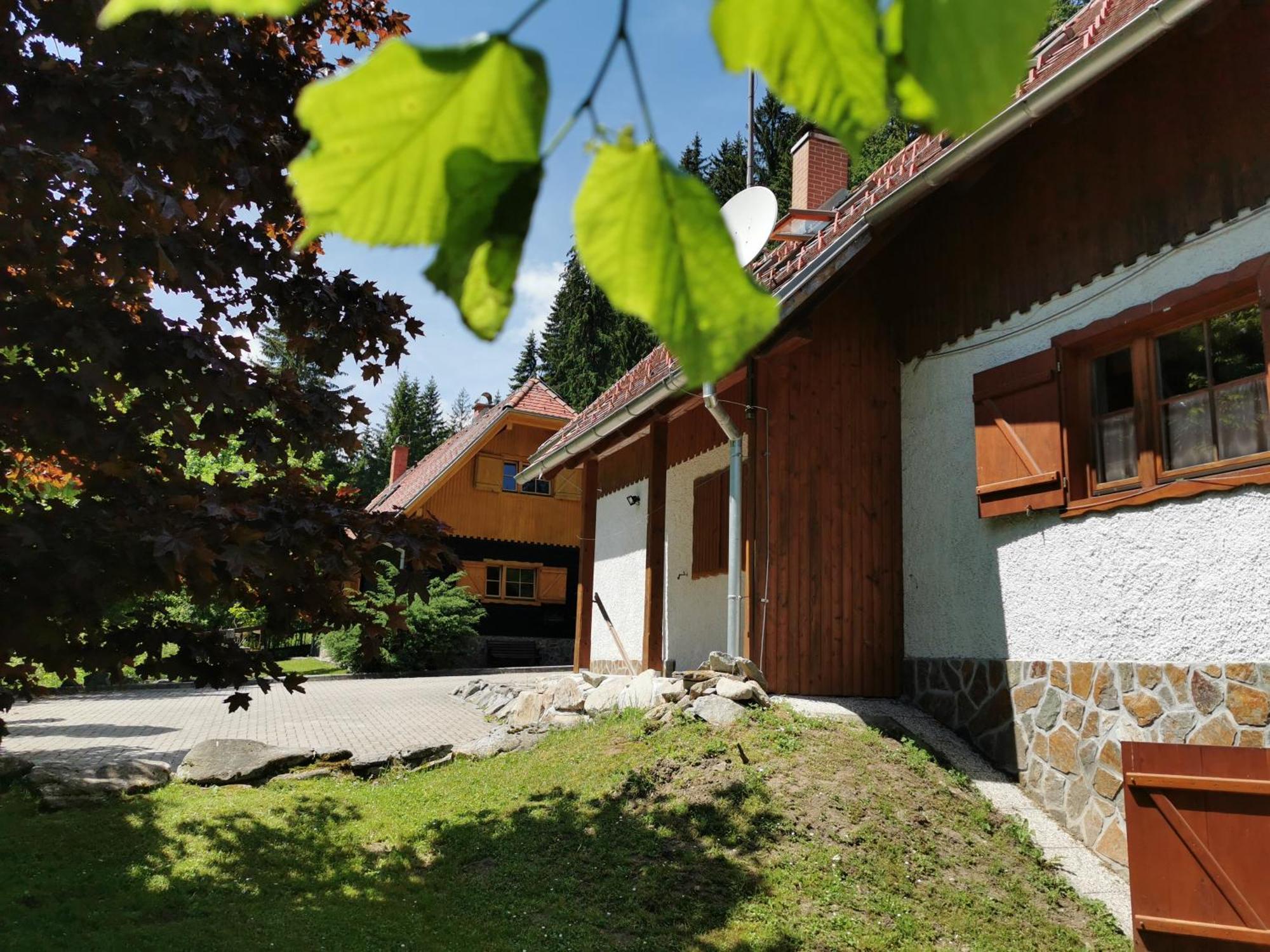 Pohorje House 2 Four Appartmetns Oplotnica Cameră foto